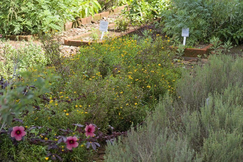Отель Asclepios Wellness & Healing Retreat Carrillos Экстерьер фото